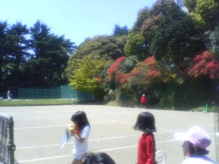 �t���[��